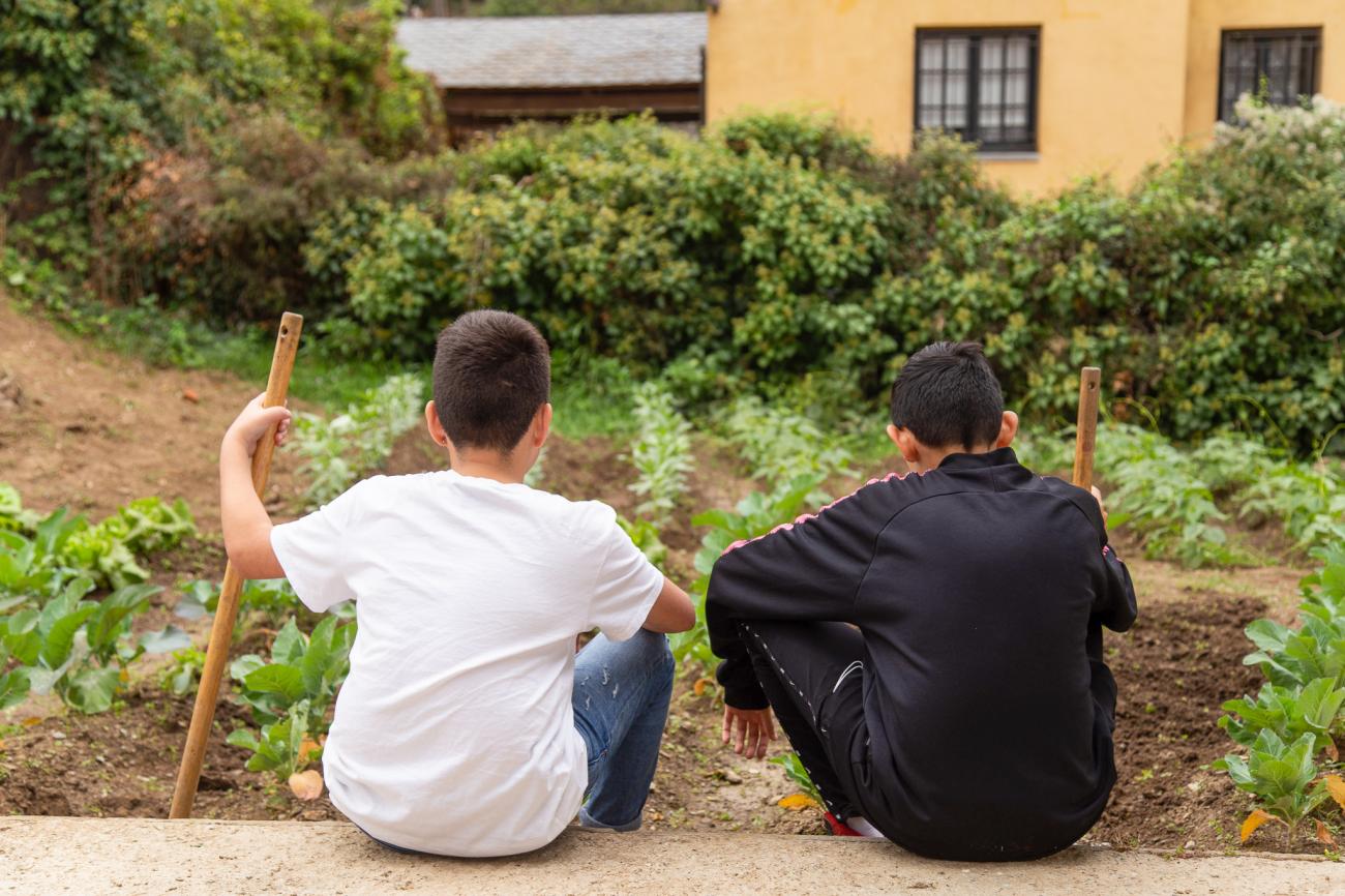 Imatge de Centres Residencials d'Acció Educativa (CRAE)