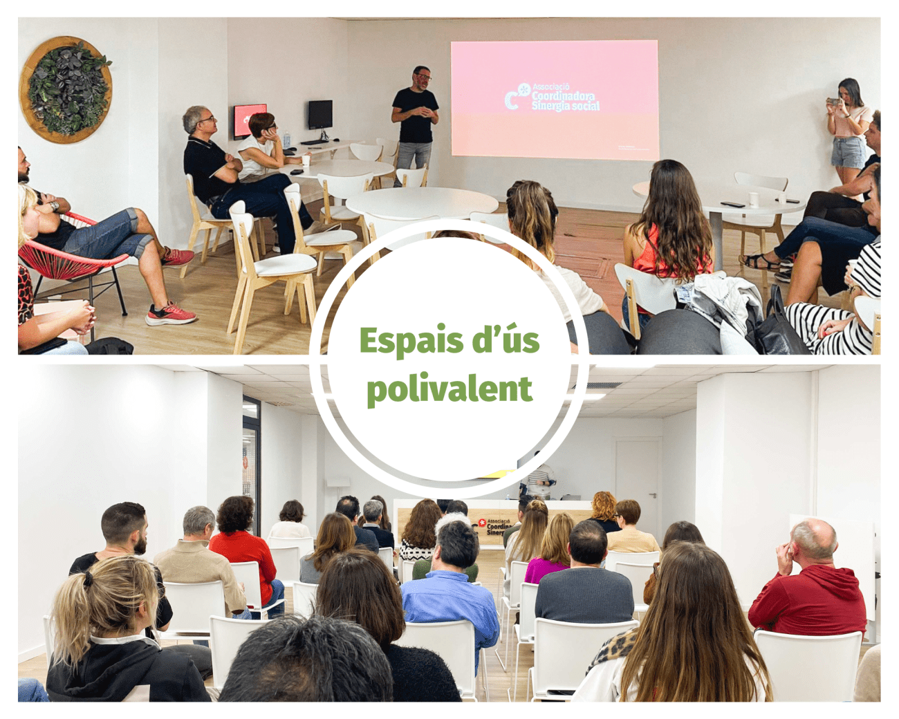 Espais d'ús polivalen_FMF