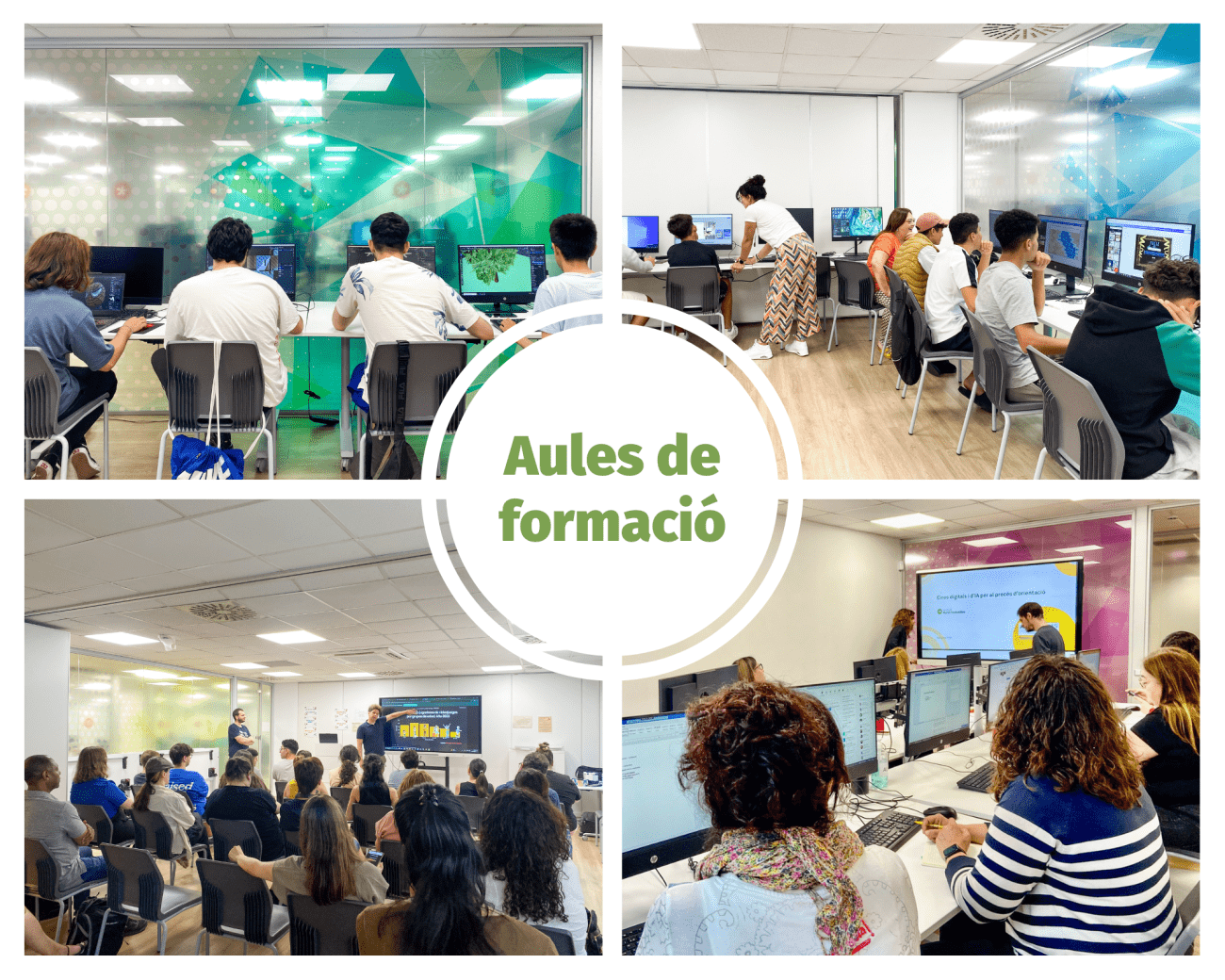 FMF_Aules de formació