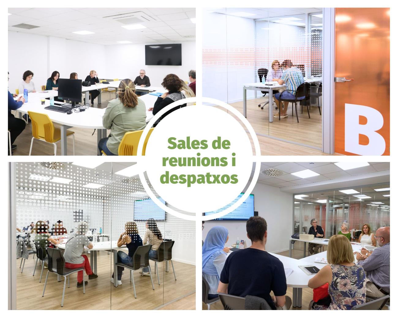 Sales de reunions i despatxos_FMF